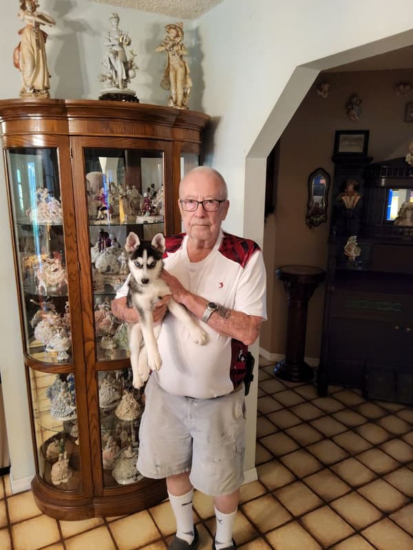Customer photo of Pomsky puppy from Robert B.