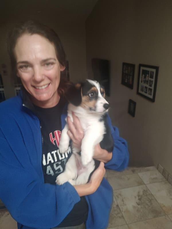 Customer photo of Corgi, American puppy from Fred M.