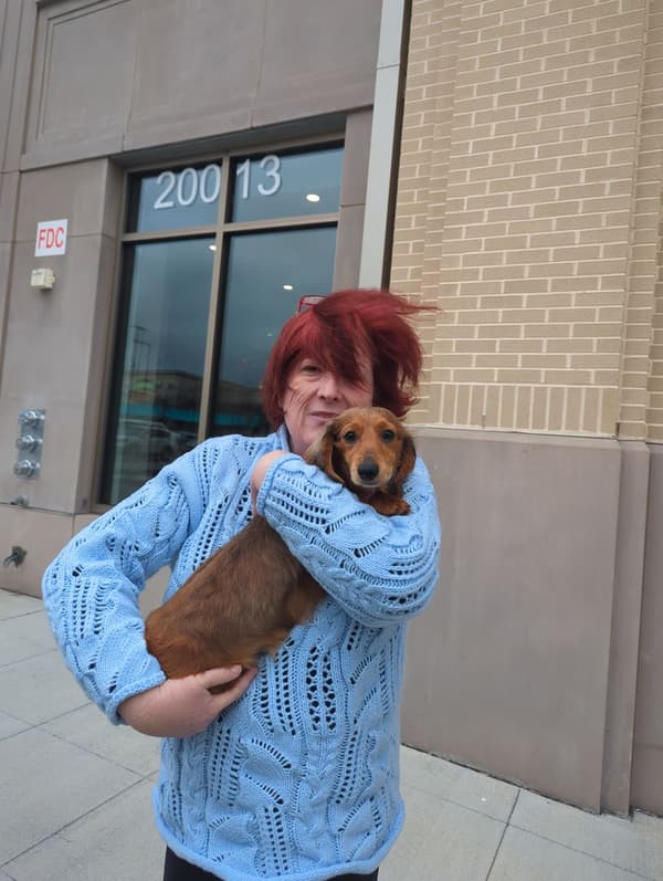 Customer photo of Dachshund, Mini puppy from Melissa W.