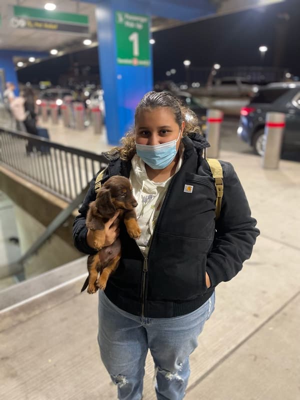 Customer photo of Dachshund puppy from Leslie P.