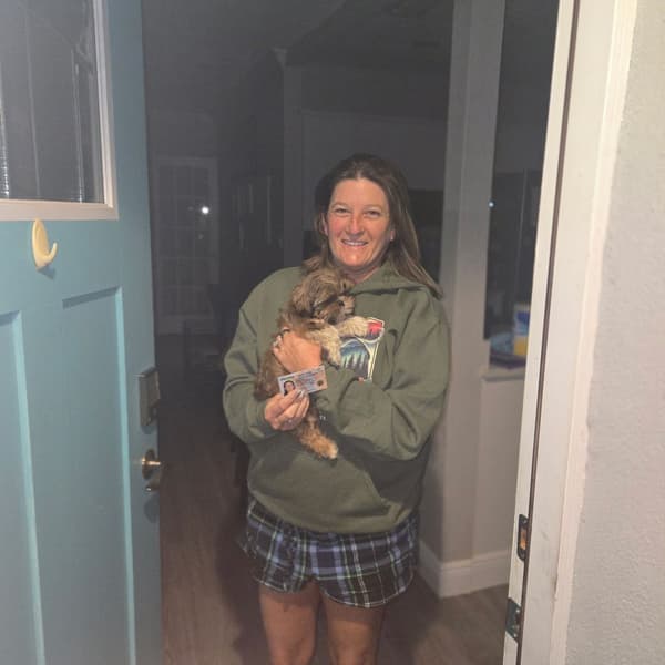 Customer photo of Shih Tzu puppy from Nickie B.