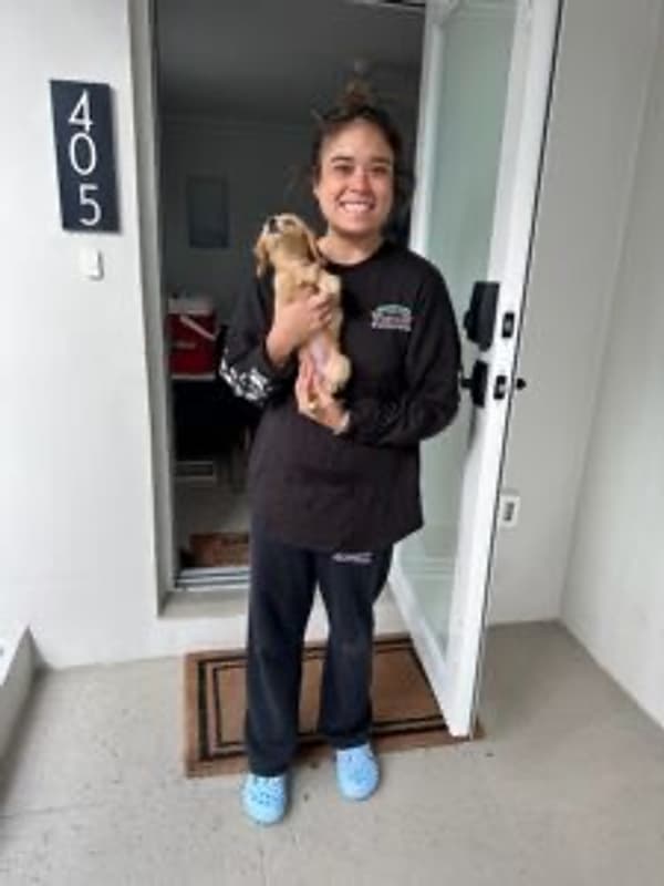 Customer photo of Dachshund, Mini puppy from Olivia G. 