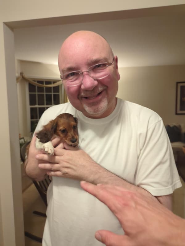 Customer photo of Dachshund, Mini puppy from Jeffery B.