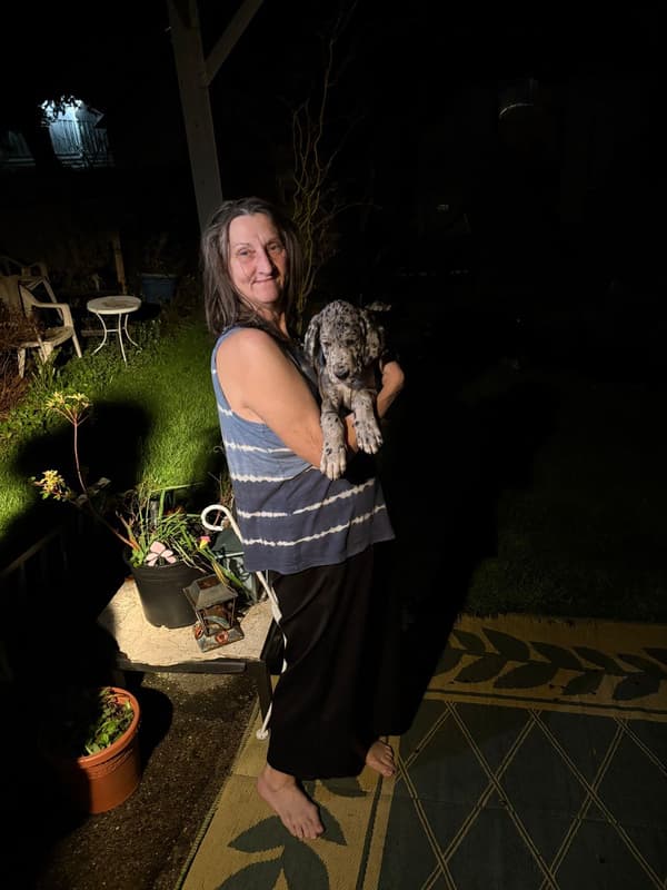 Customer photo of Great Dane puppy from Colleen K.