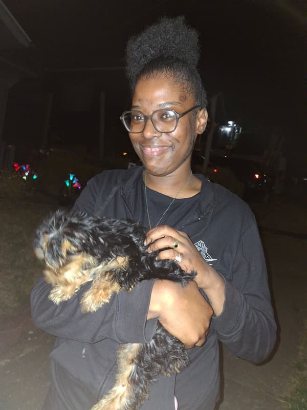 Customer photo of Yorkshire Terrier - Yorkie puppy from Bonnie D.