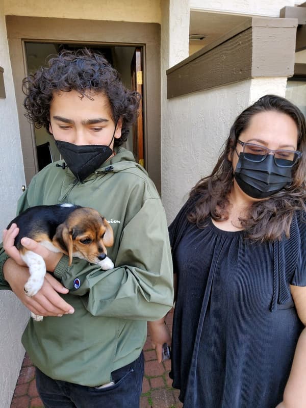 Customer photo of Beagle puppy from Sara F.