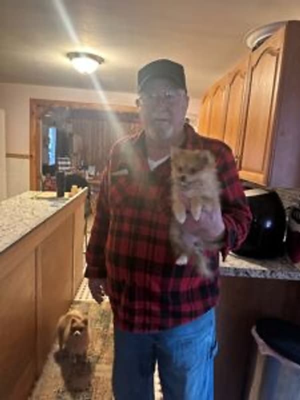 Customer photo of Pomeranian puppy from Shari S.
