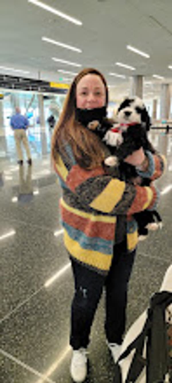 Customer photo of Sheepadoodle puppy from Kellie F.