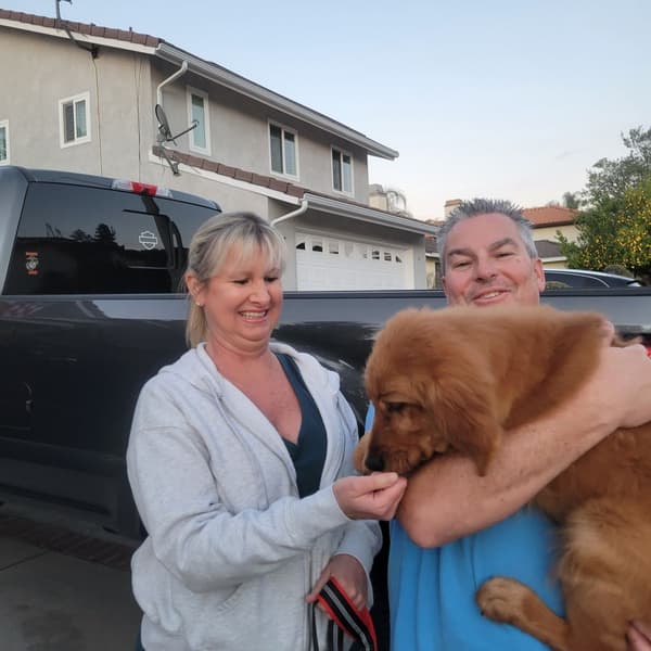 Customer photo of Golden Retriever puppy from Marsan K. 