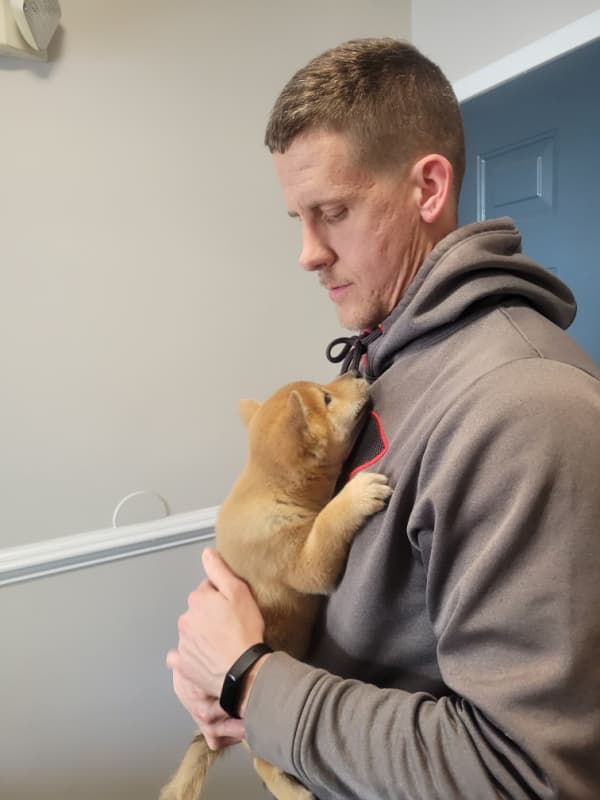 Customer photo of Shiba Inu puppy from Jessica S.