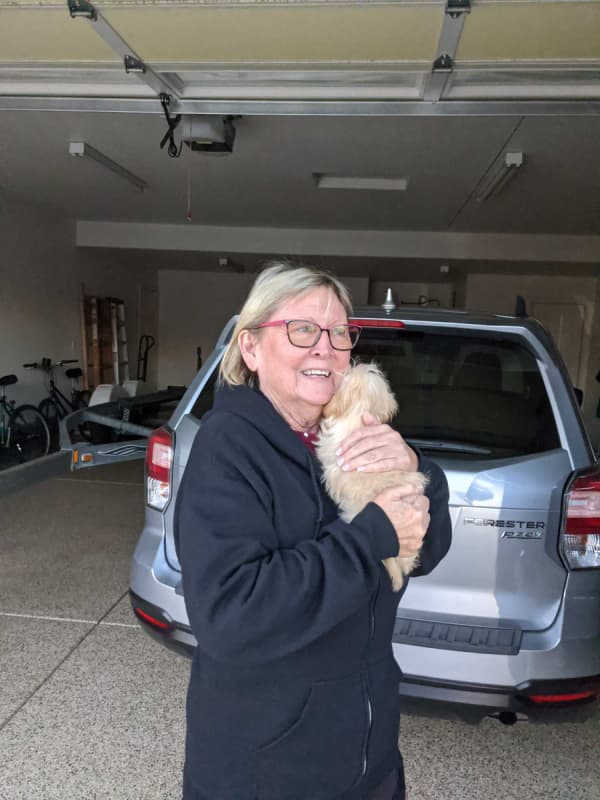 Customer photo of Malti Poo - Maltipoo puppy from Denise M.