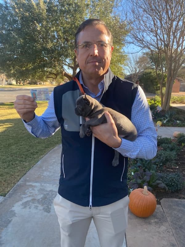 Customer photo of Frenchton puppy from Richard G.