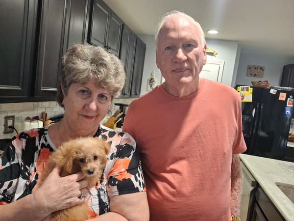 Customer photo of Poodle, Toy puppy from Shari E.