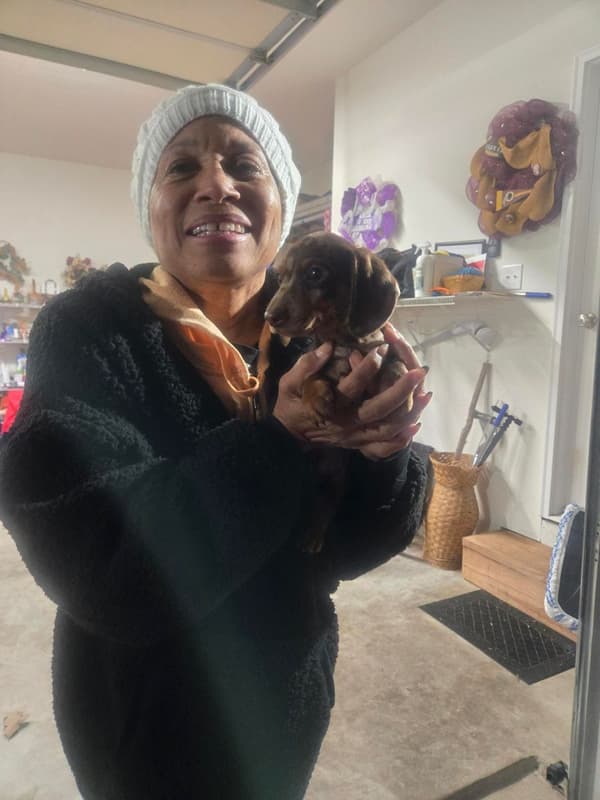 Customer photo of Dachshund, Mini puppy from Tenisha W.