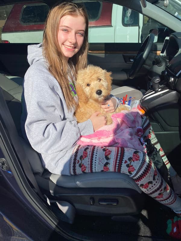 Customer photo of Goldendoodle puppy from Heidi H.