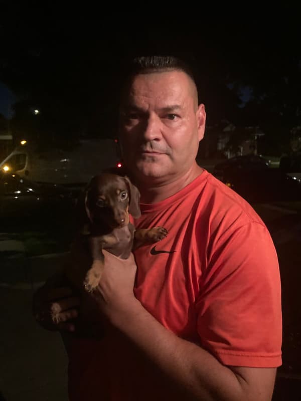 Customer photo of Dachshund, Mini puppy from Jose C.