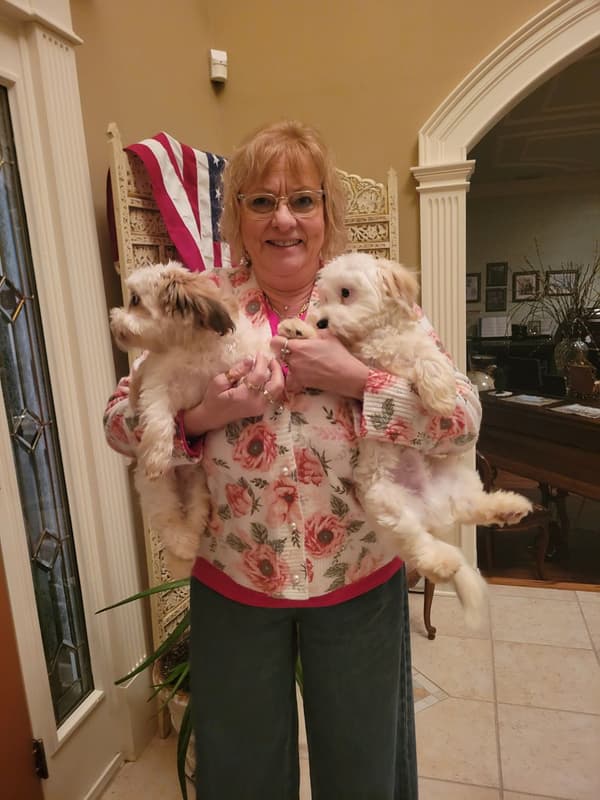 Customer photo of Mixed/Other puppy from Virginia F.