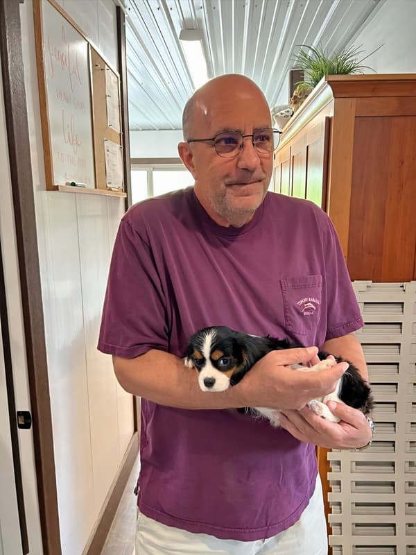 Customer photo of Cavalier King Charles Spaniel puppy from Timothy P.