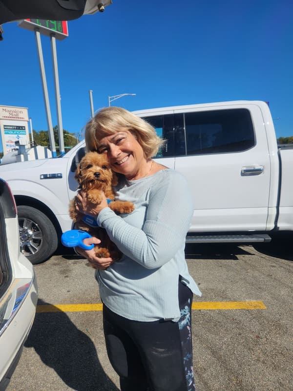 Customer photo of Cavapoo puppy from Kathy C.
