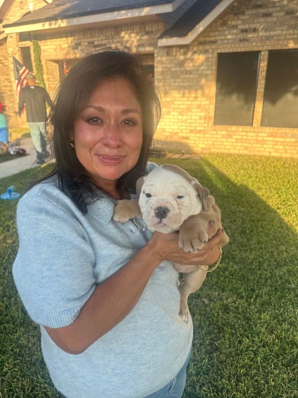 Customer photo of English Bulldog puppy from Patricia S.
