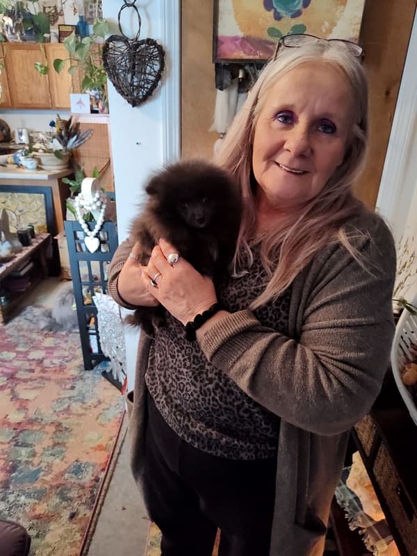 Customer photo of Pomeranian puppy from Wendy C.