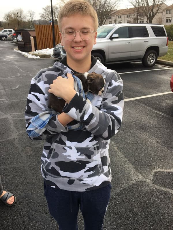 Customer photo of Boston Terrier puppy from Tammy B.