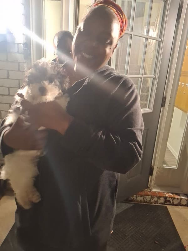 Customer photo of Poodle, Miniature puppy from Annie R.