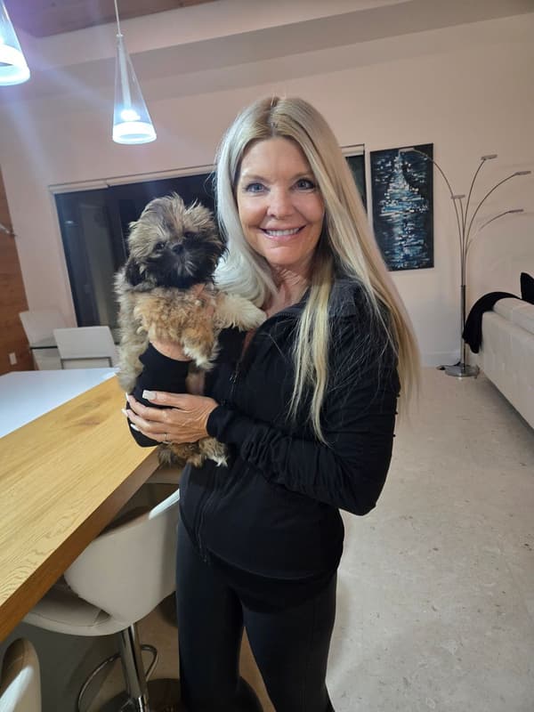 Customer photo of Shih Tzu puppy from Daran S.