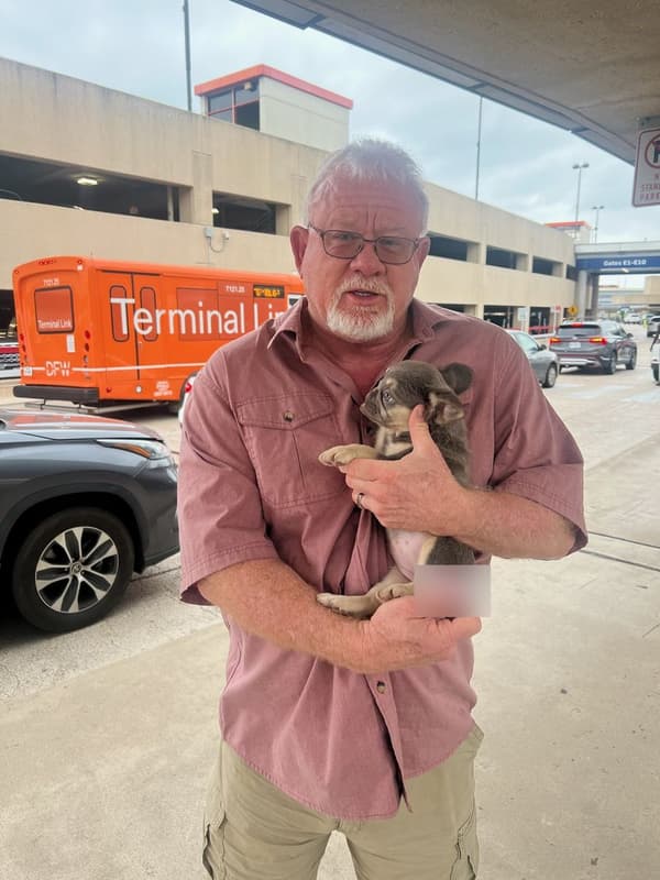 Customer photo of French Bulldog puppy from Alan N.