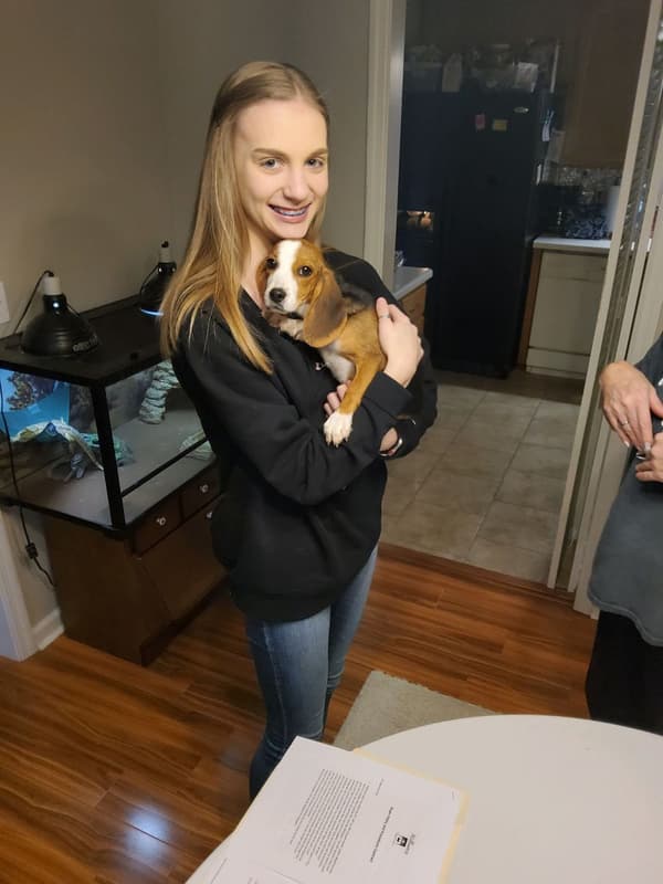 Customer photo of Beagle puppy from Theresa W.