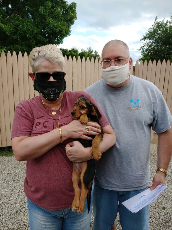 Customer photo of Doxle puppy from Robin B.