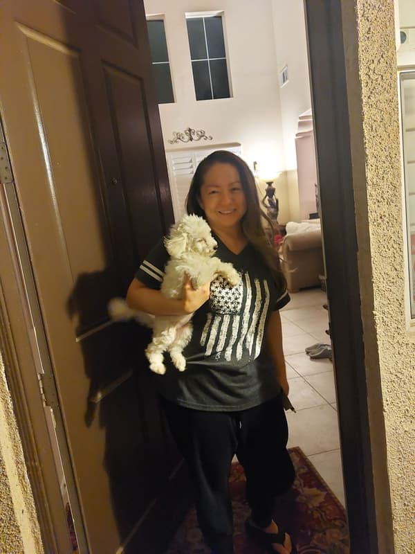 Customer photo of Bichon Frise puppy from Michelle P.