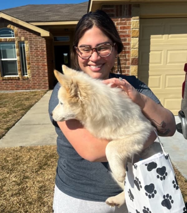 Customer photo of Pomsky puppy from Michael H.