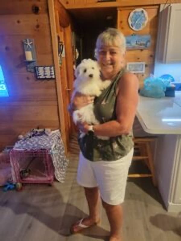 Customer photo of Maltese puppy from Barbara H. 