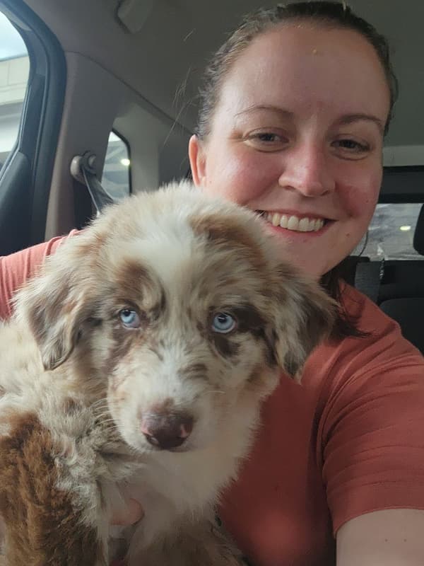 Customer photo of Australian Shepherd puppy from Debra C.