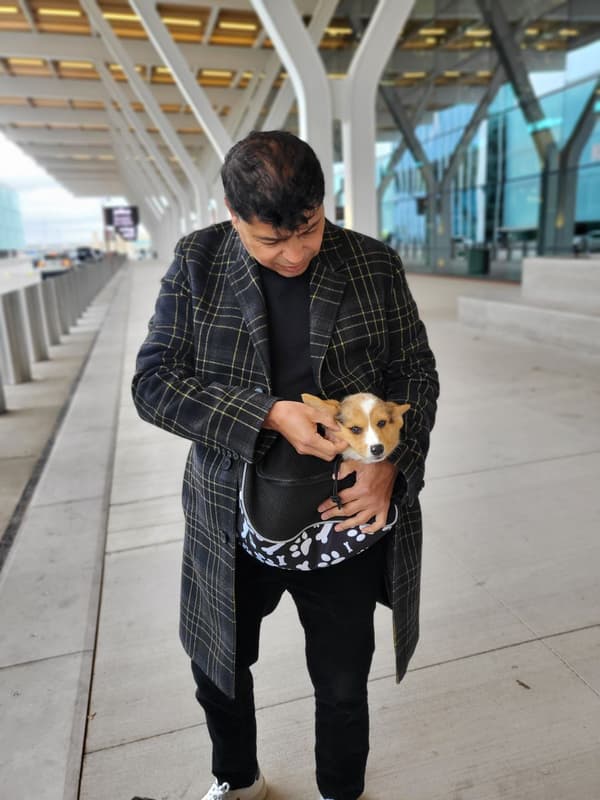Customer photo of Corgi, American puppy from Ken M.