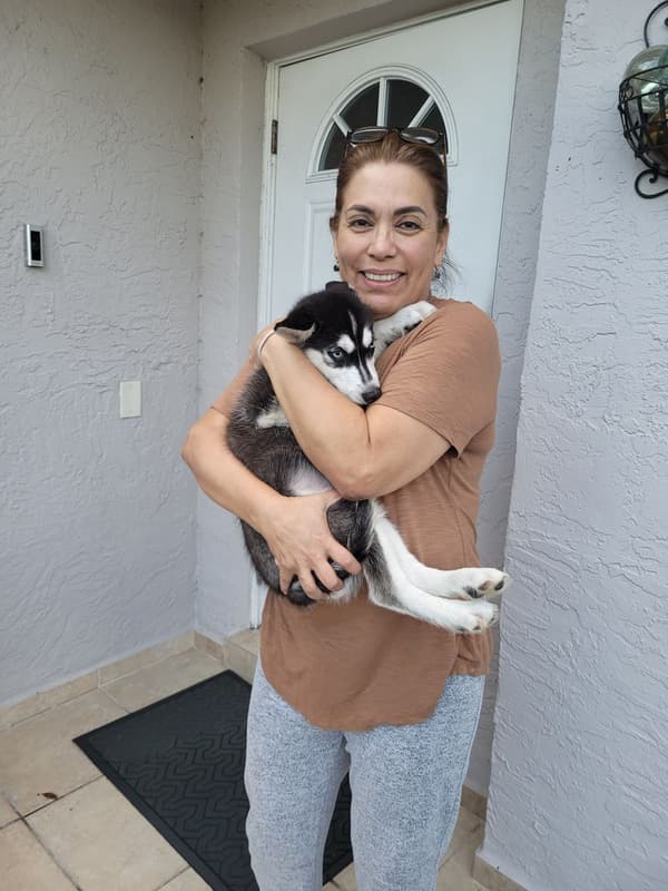 Customer photo of Siberian Husky puppy from Maria G.