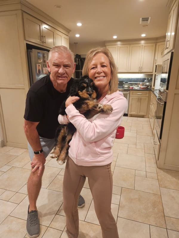 Customer photo of Bernedoodle, Mini puppy from Sabrina R.