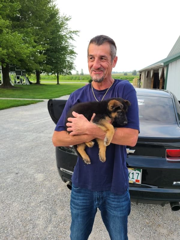 Customer photo of German Shepherd puppy from Matthew M.