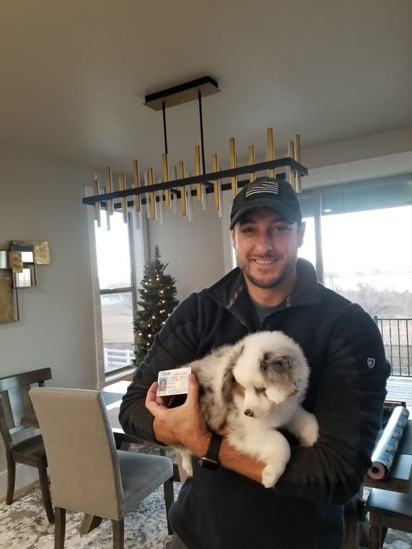 Customer photo of Miniature Australian Shepherd puppy from Andrea M.