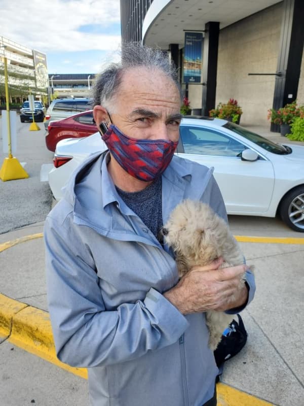 Customer photo of Malti Poo - Maltipoo puppy from Steve C.