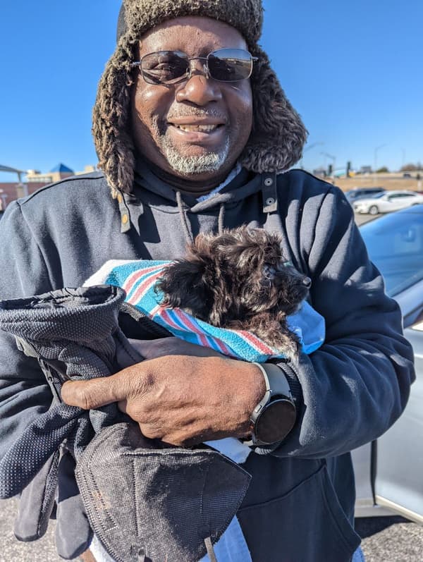 Customer photo of Havapoo puppy from Jonathan T.