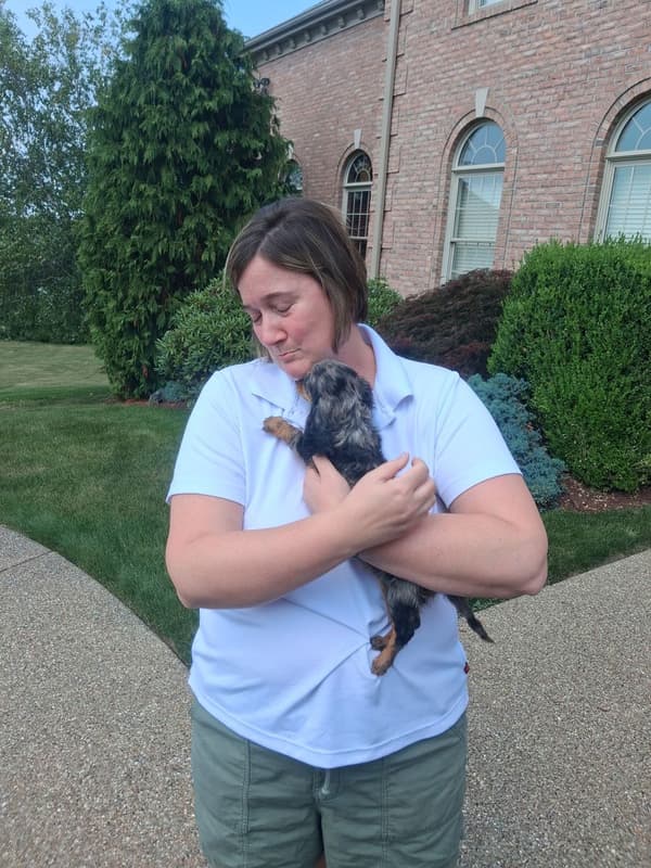 Customer photo of Dachshund, Mini puppy from Natalea O.