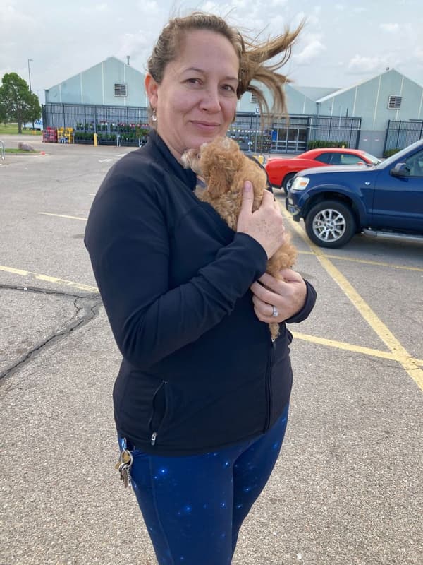 Customer photo of Poodle, Toy puppy from Maria M.