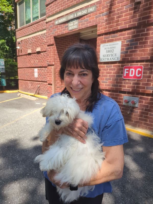 Customer photo of Malti Poo - Maltipoo puppy from Elaine F.