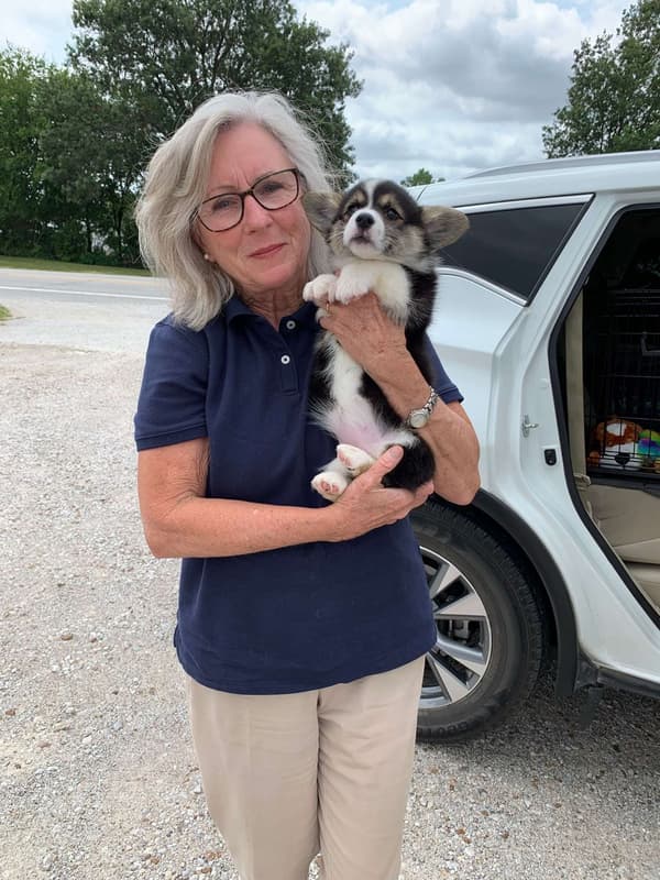 Customer photo of Corgi, Pembroke Welsh puppy from Jan E.