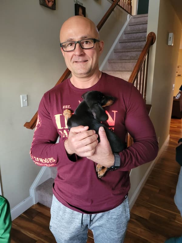 Customer photo of Dachshund, Mini puppy from John M.