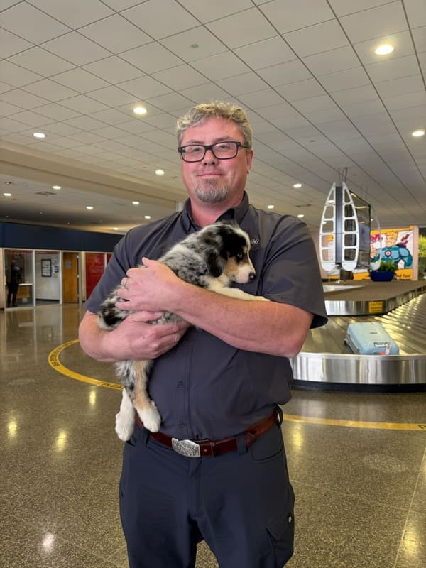 Customer photo of Australian Bernedoodle puppy from Matt T.