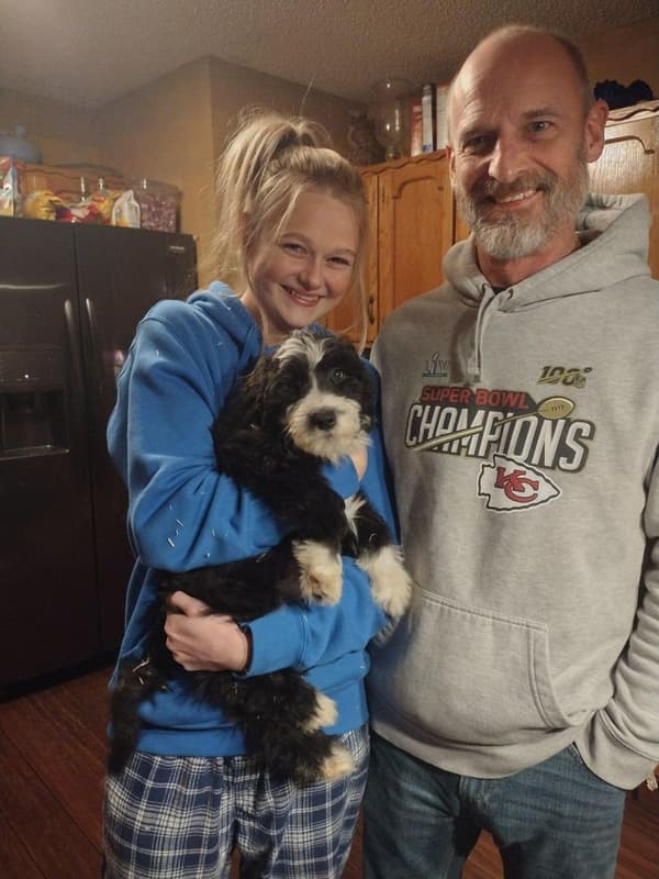 Customer photo of Sheepadoodle puppy from Chris F.