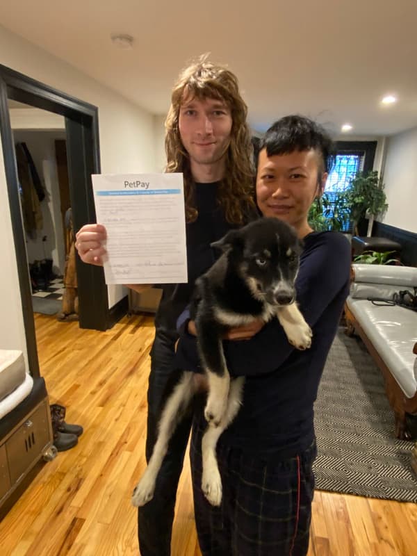 Customer photo of Pomsky puppy from Yi L.